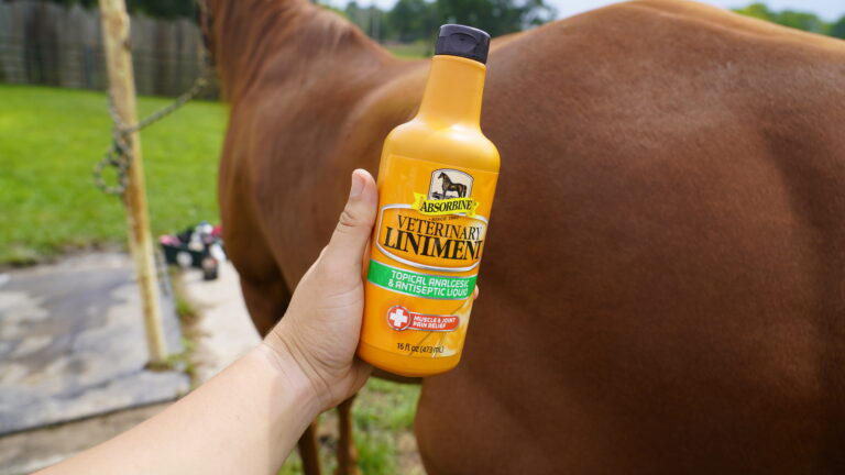 A bottle of horse liniment.