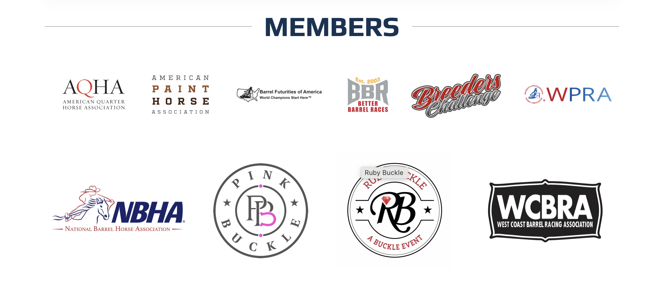 Some logos of Barrel Racing Industry Alliance production partners.