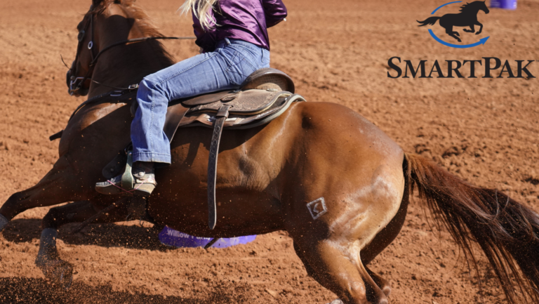 a barrel racer