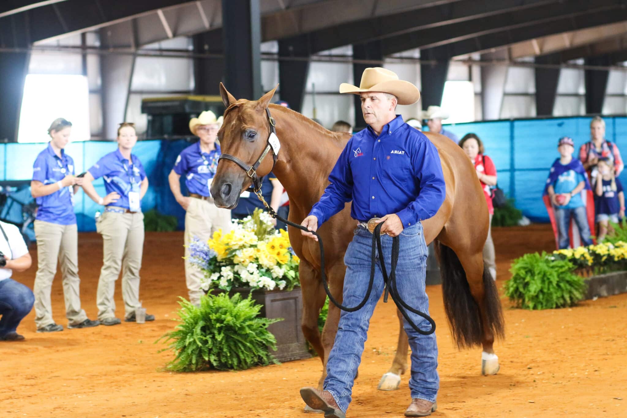 How to Tell if Your Horse is Lame