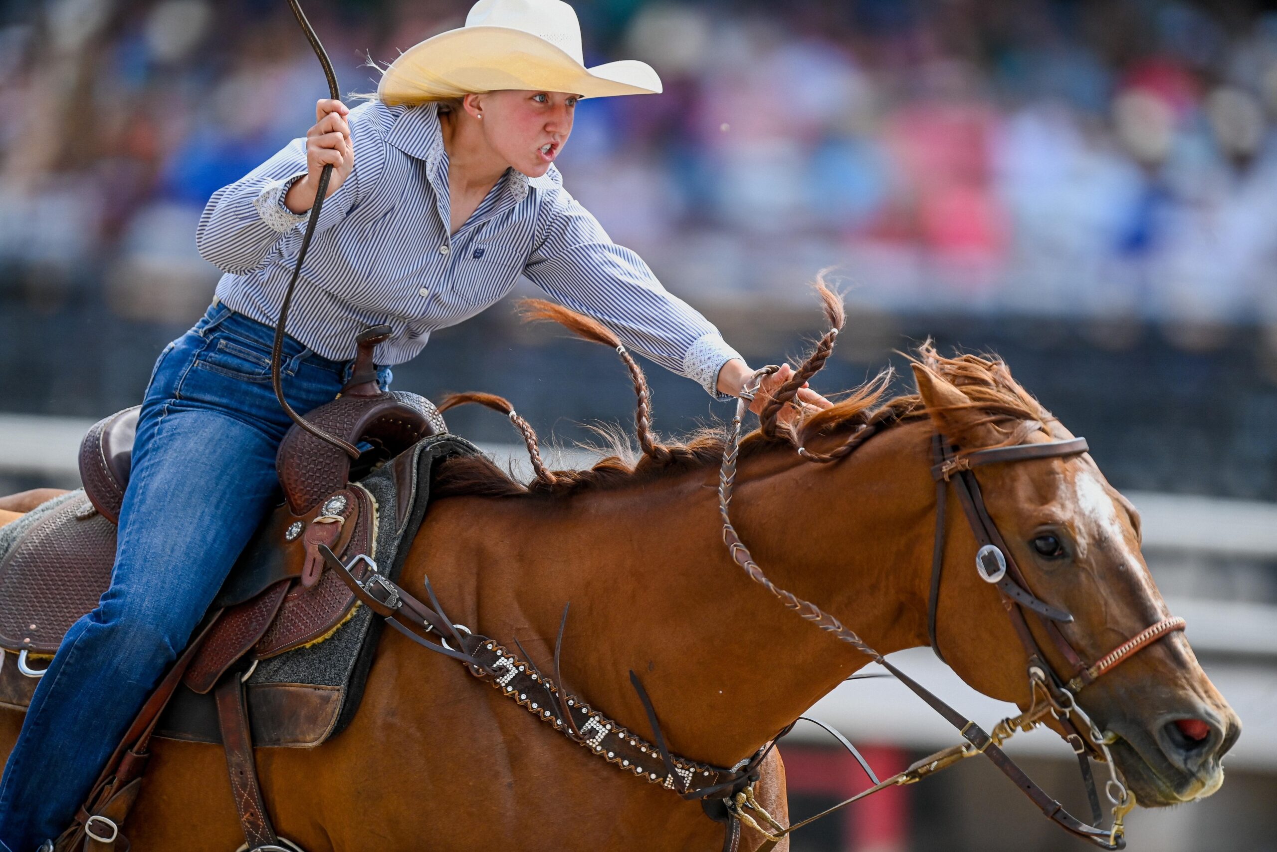 Taycie Matthews barrel racing in Cheyenne.