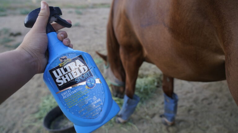 spraying fly spray on a horse