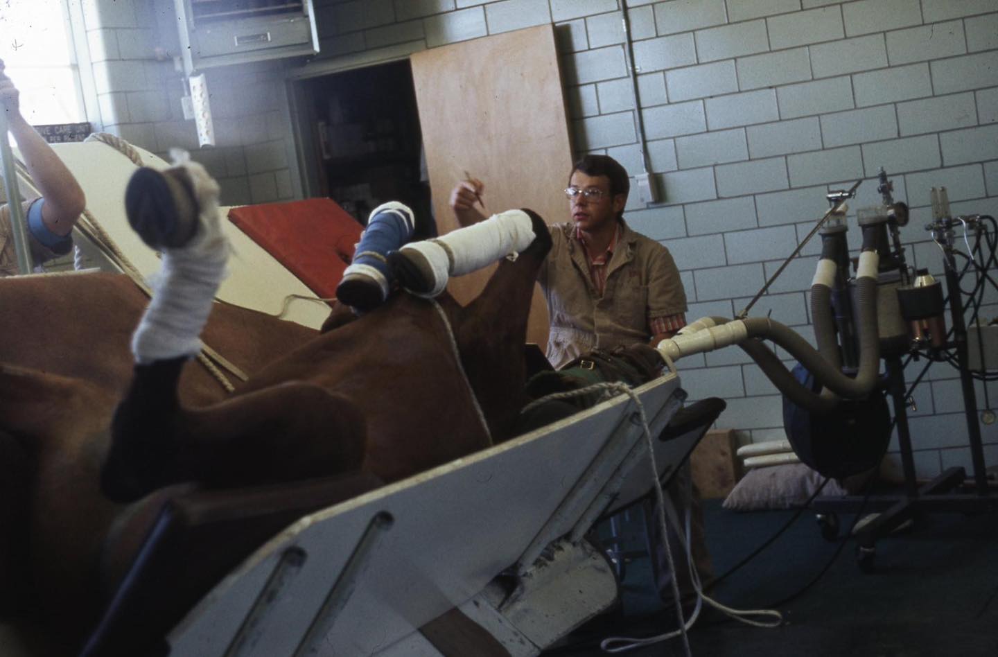 Marvin Beeman working on a horse