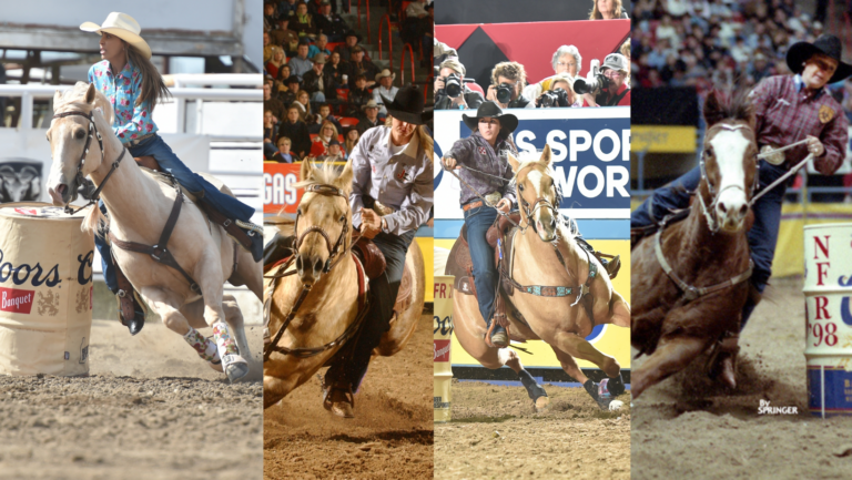 Horses of the Year with Sun Frost and Caseys Ladylove bloodlines