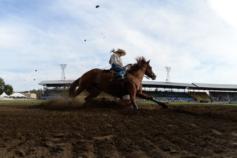 Kacey Gartner Pendleton barrel racing