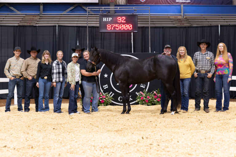 Stallion Blakkout sells for $875,000