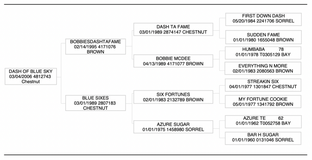 Dash of Blue Sky pedigree