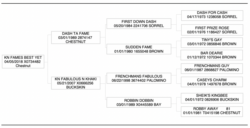 KN Fames Best Yet pedigree