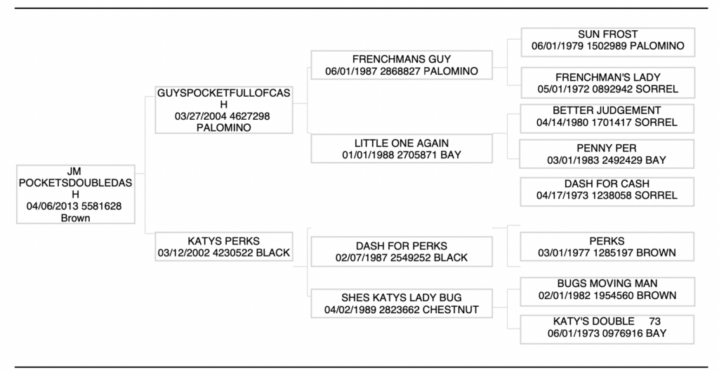 JM PocketsDoubleDash pedigree