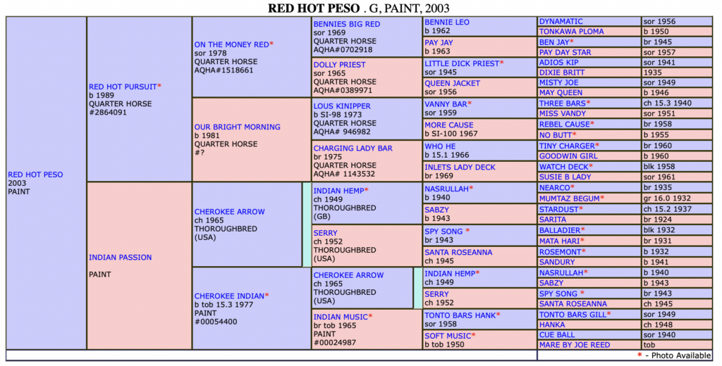 Red Hot Peso pedigree