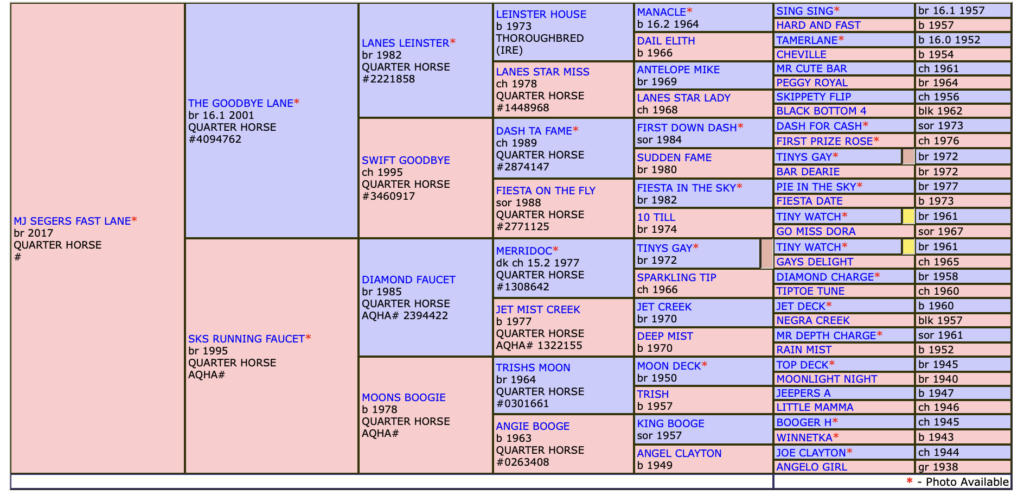 MJ Segers Fast Lane pedigree