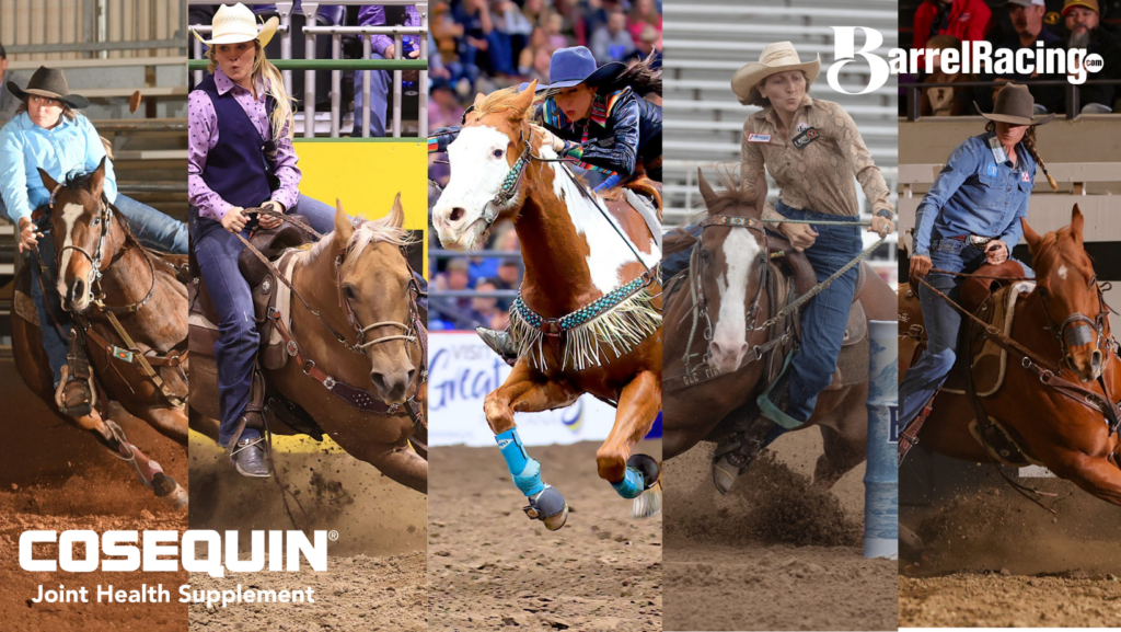 Collage of aging barrel racing horses.