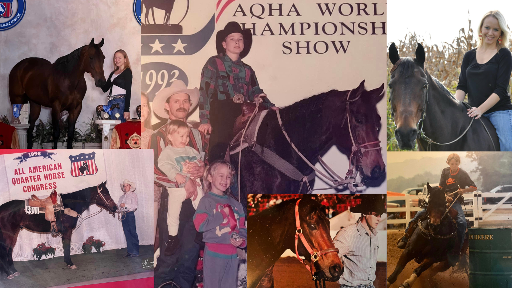 Iconic horse Teddy Terrific photo montage