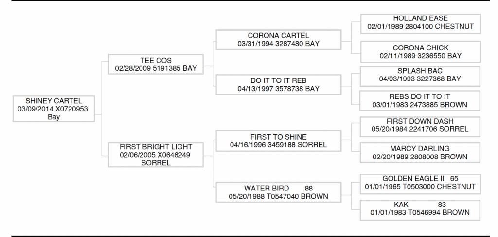 Tana Trosper's Shiney Cartel