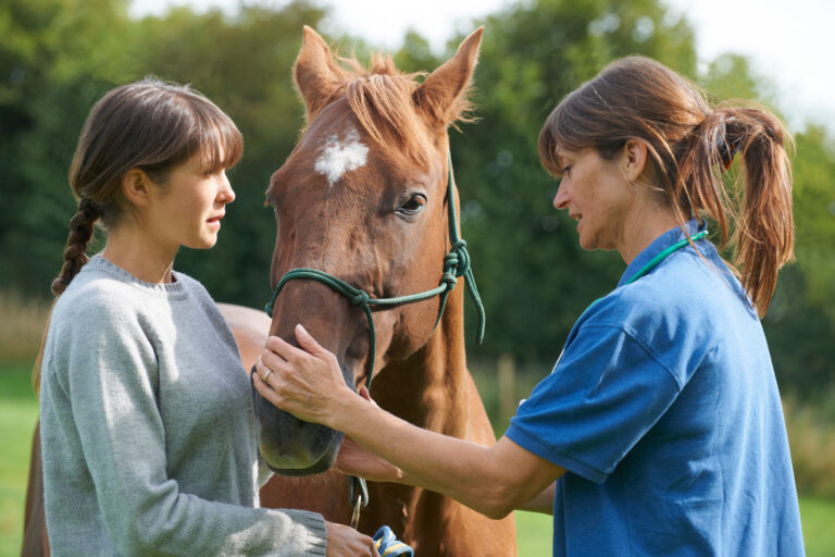 Female Vet Examining Horse