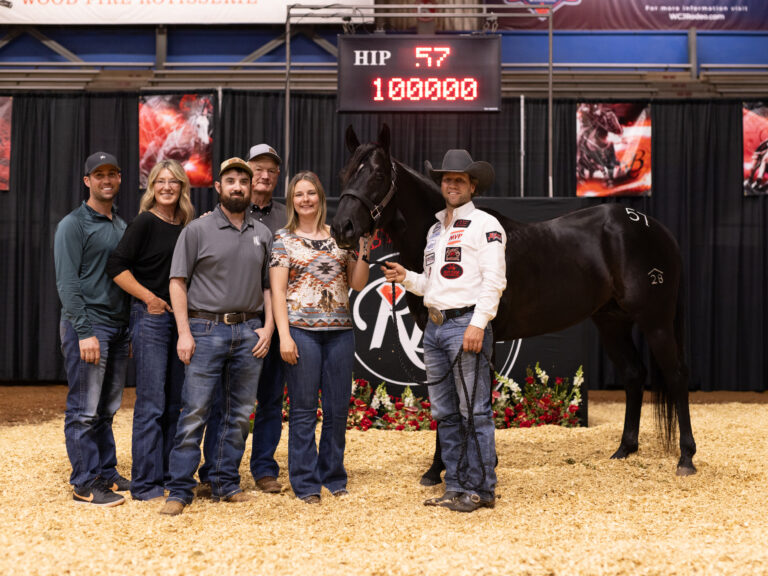 Mister Black Mamba with buyers and sellers