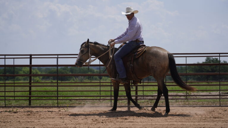 Justin Briggs riding horse