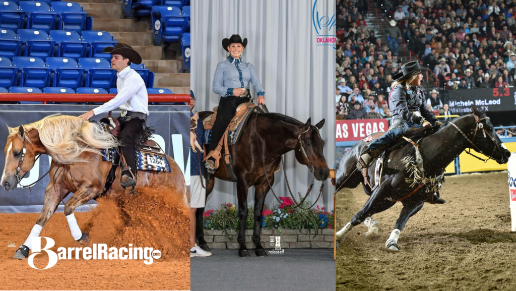 Highpoint Performance horses in various disciplines