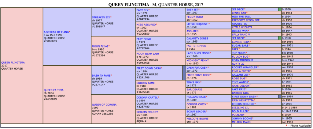 Queen Flingtima pedigree