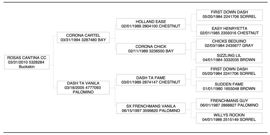 Rosas Cantina CC Pedigree