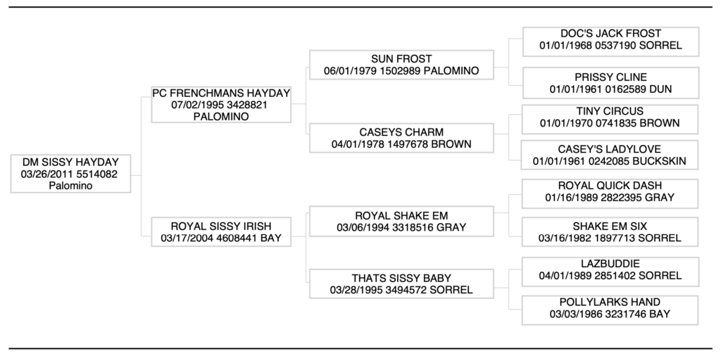DM Sissy Hayday Pedigree