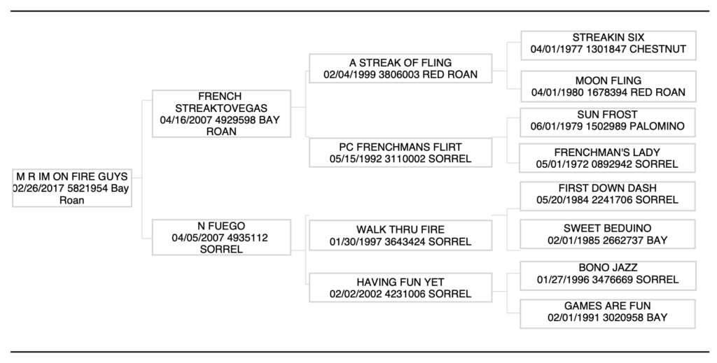 M R Im On Fire Guys pedigree
