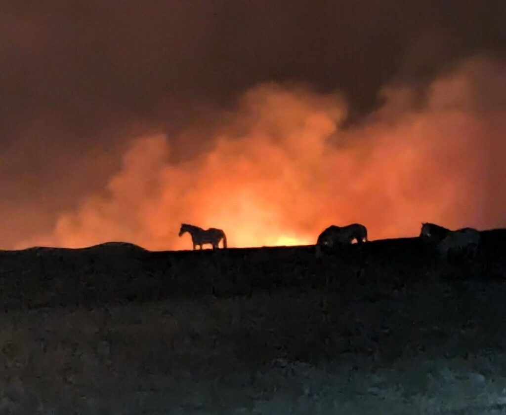 Wildfire wyoming