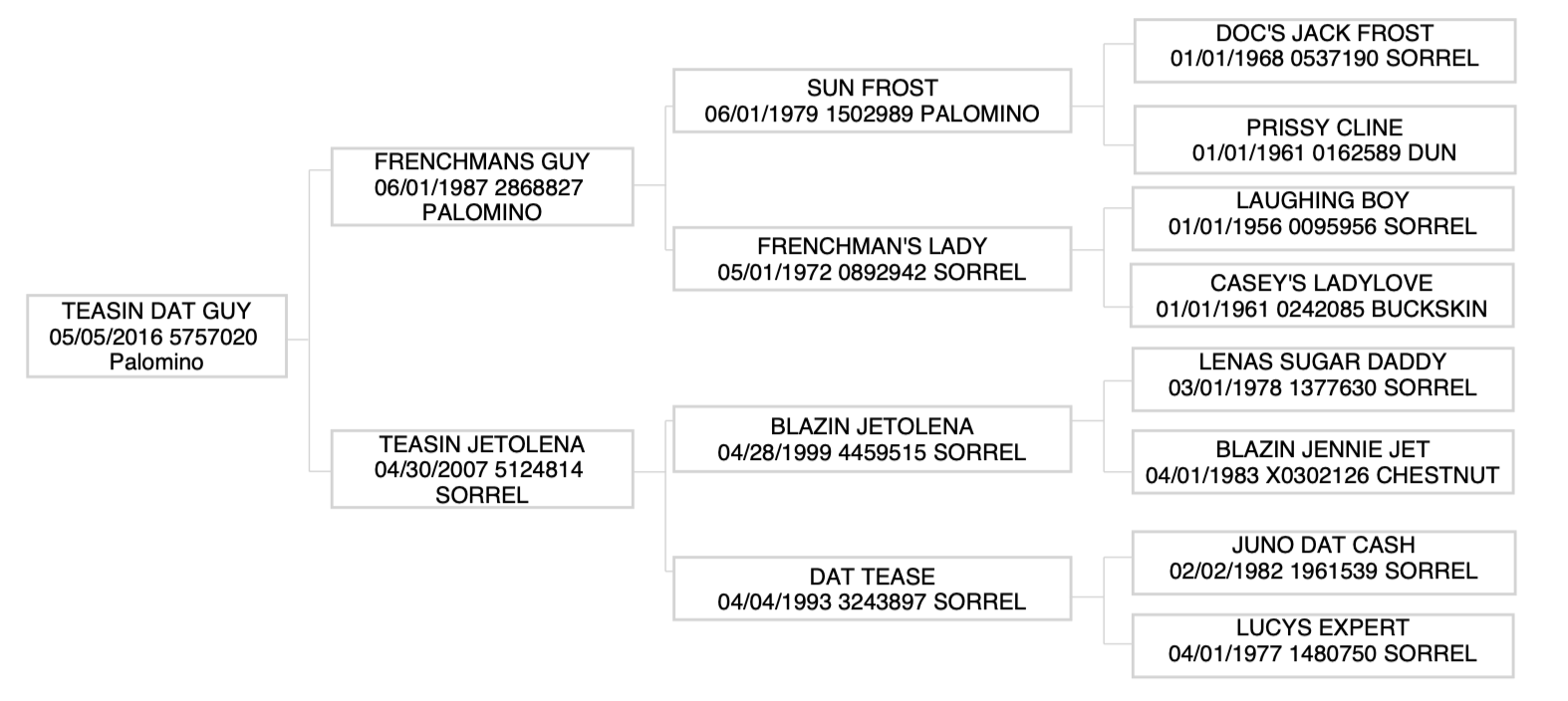 Teasin Dat Guy pedigree