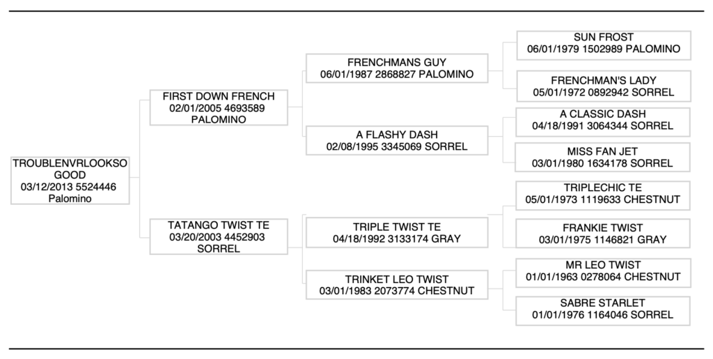 TroubleNvrLookSoGood pedigree