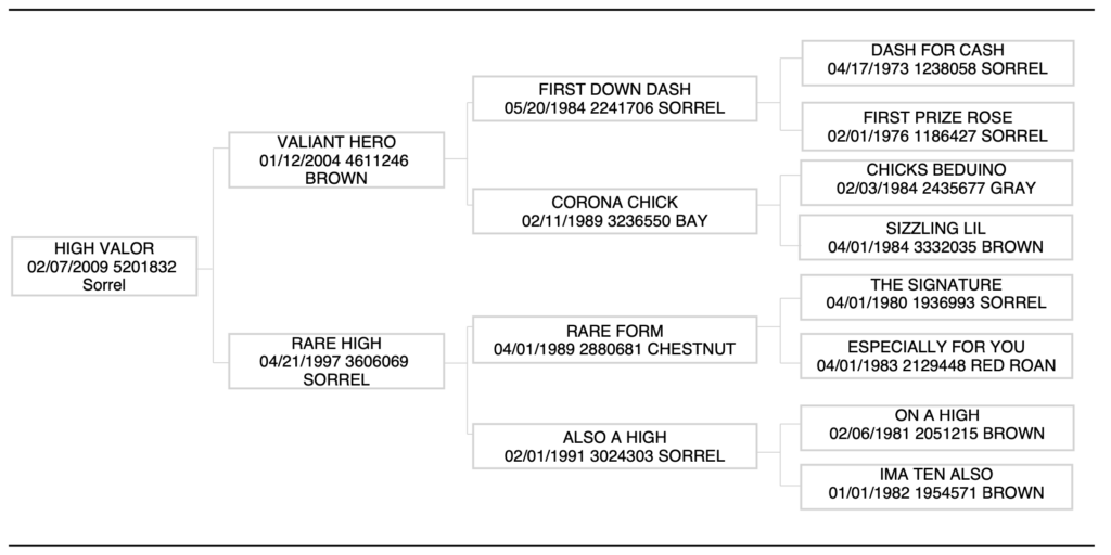 High Valor pedigree