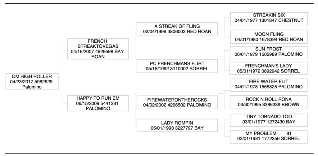 DM High Roller pedigree
