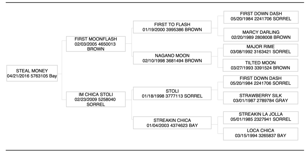 Steal Money Pedigree