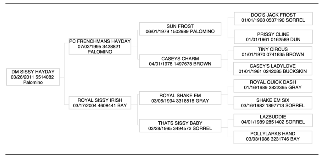 DM Sissy Hayday pedigree