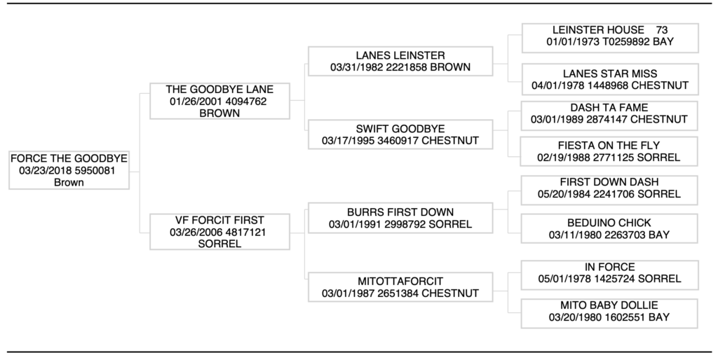 Force the Goodbye Pedigree