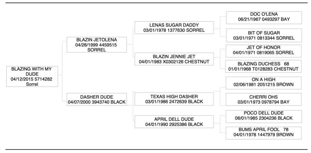 Blazing with my dude pedigree
