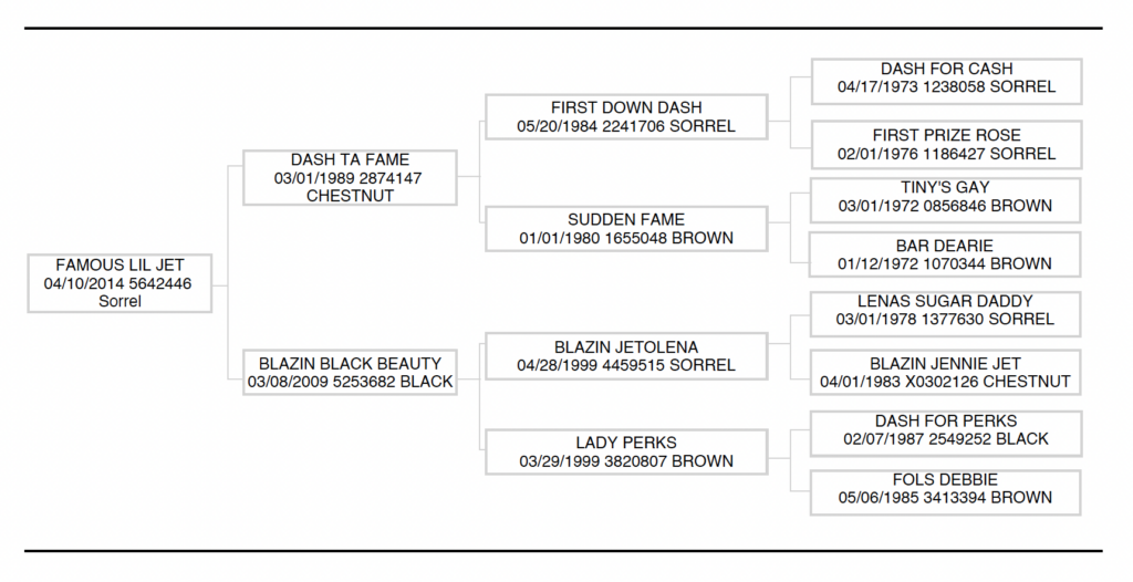 Famous Lil Jet Rollo Pedigree