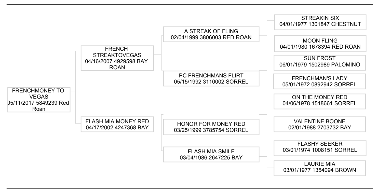 Frenchmoney To Vegas owned by Oceane Veilleux