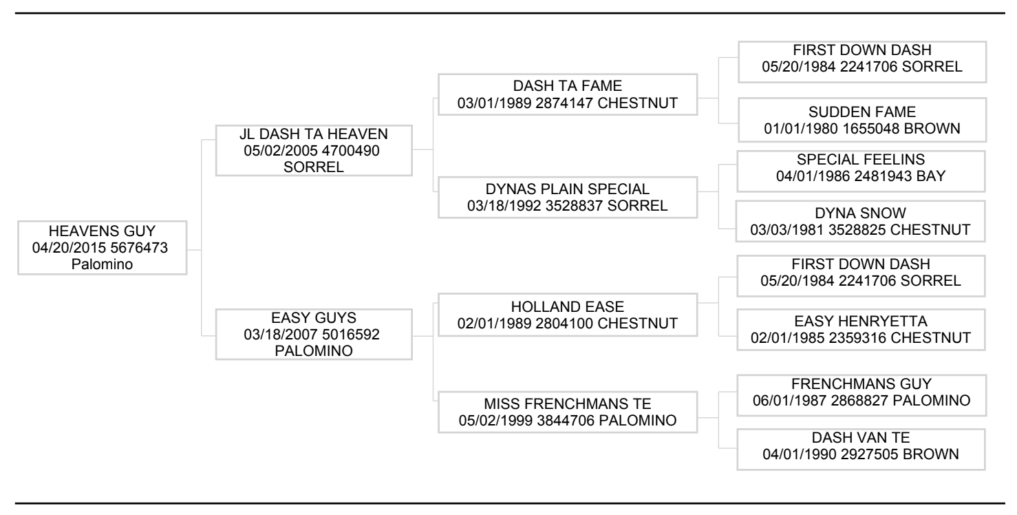 Heavens Guy owned by Frenchmoney To Vegas owned by Oceane Veilleux