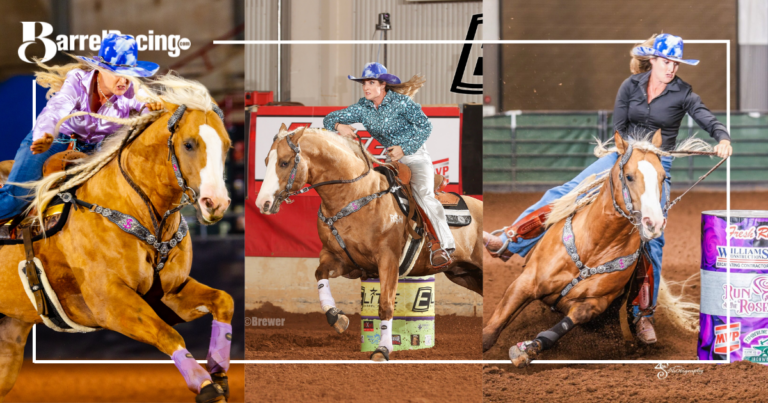 Adios Pantalones photo montage