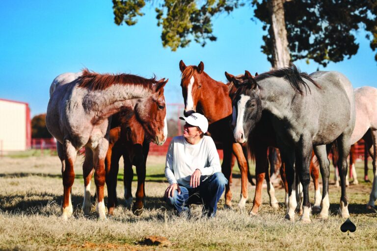 Melanie Smith, Solo Select Owner and Founder