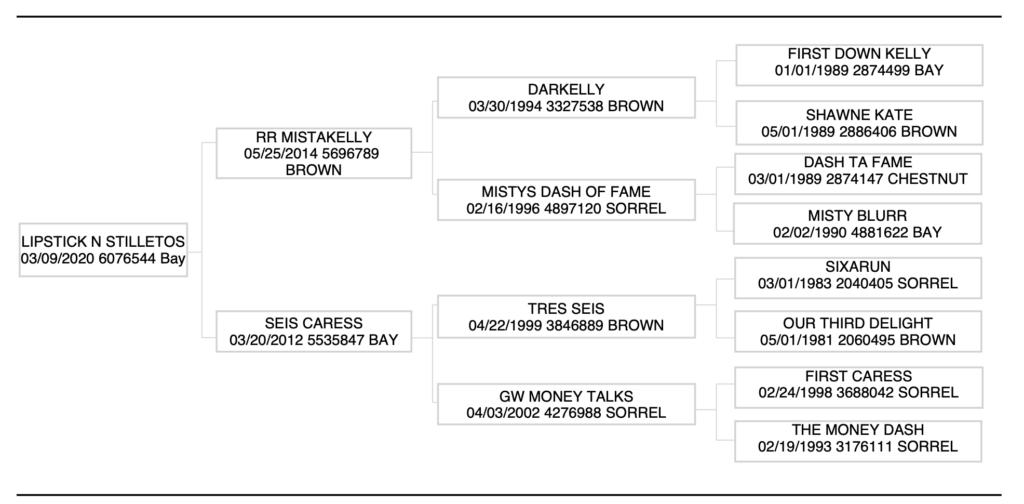 lipstick n stilletos pedigree