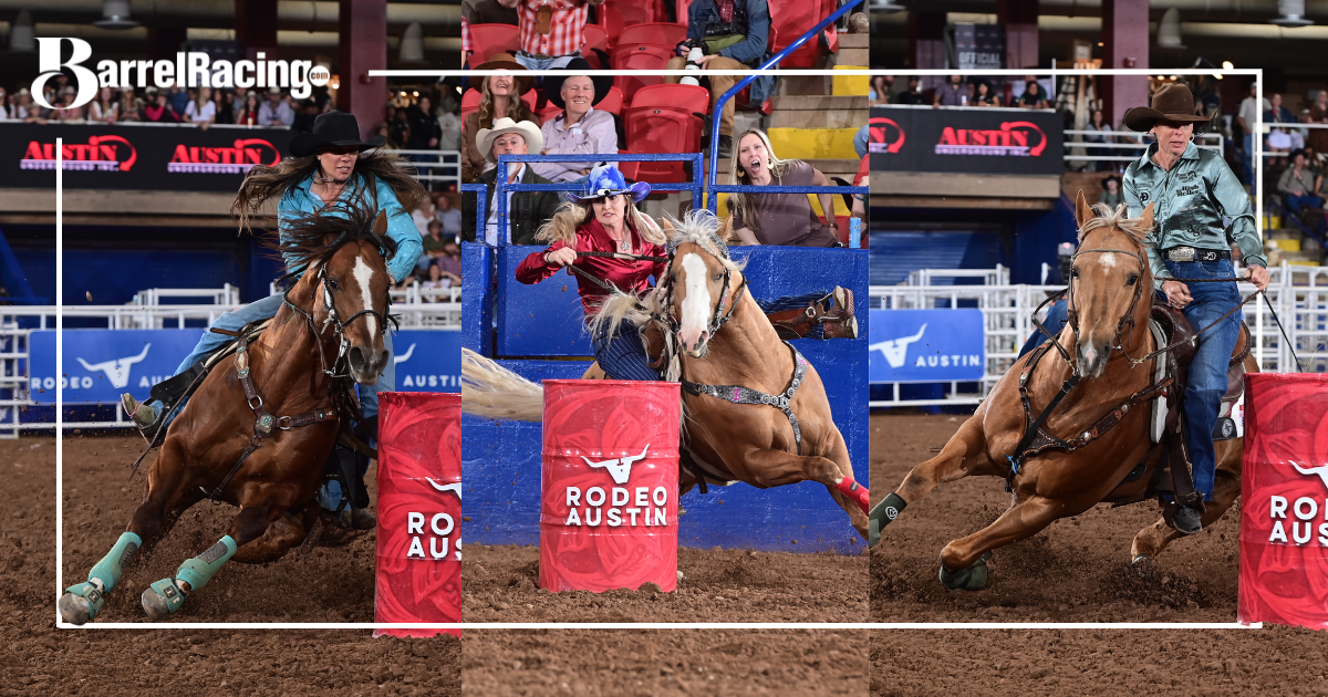 three barrel racing stallions turning barrels