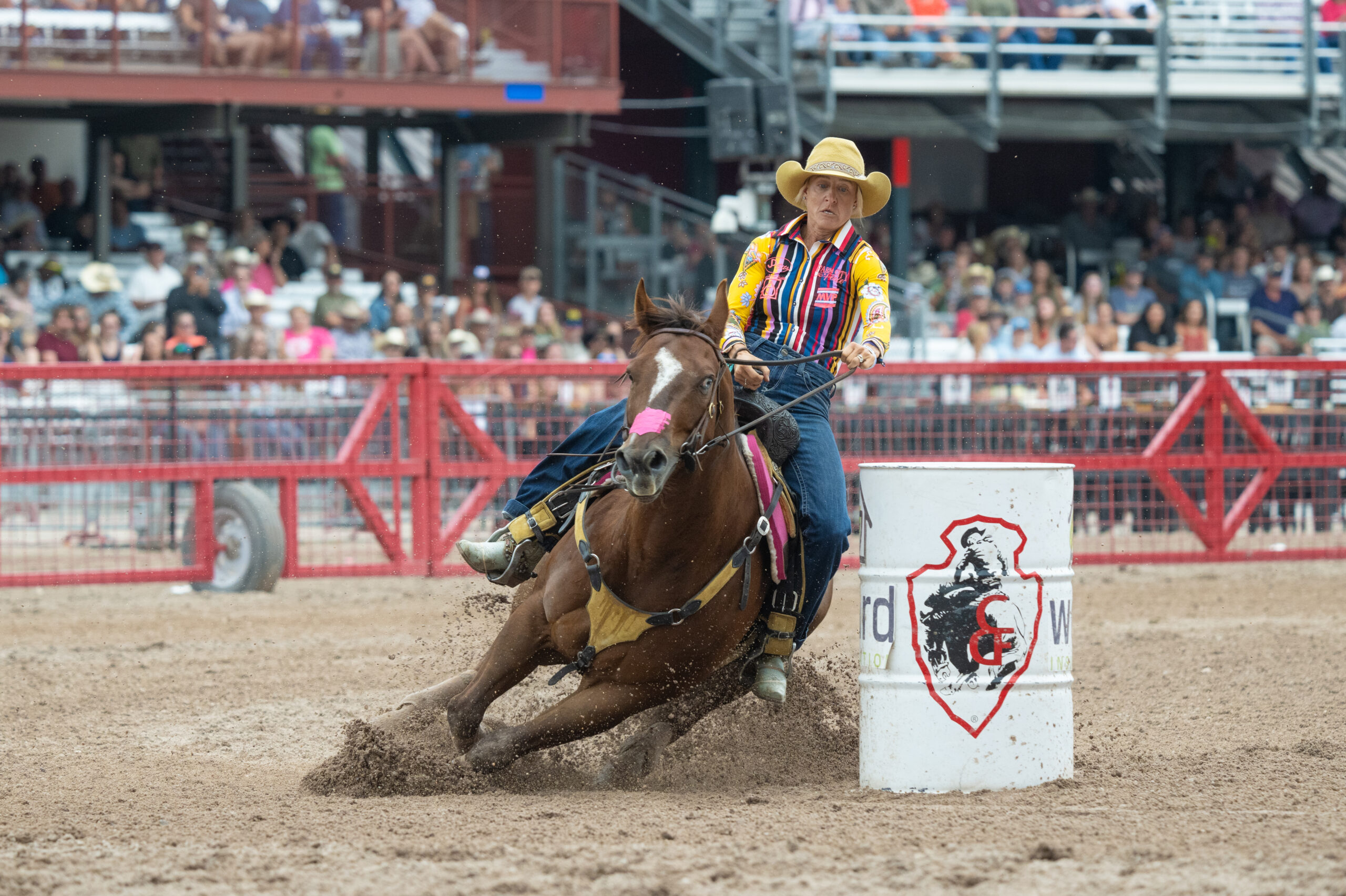 Summer Kosel Cheyenne Frontier Days barrel racing