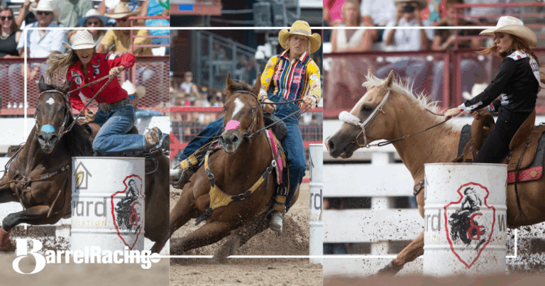 Horses at Cheyenne Frontier Days