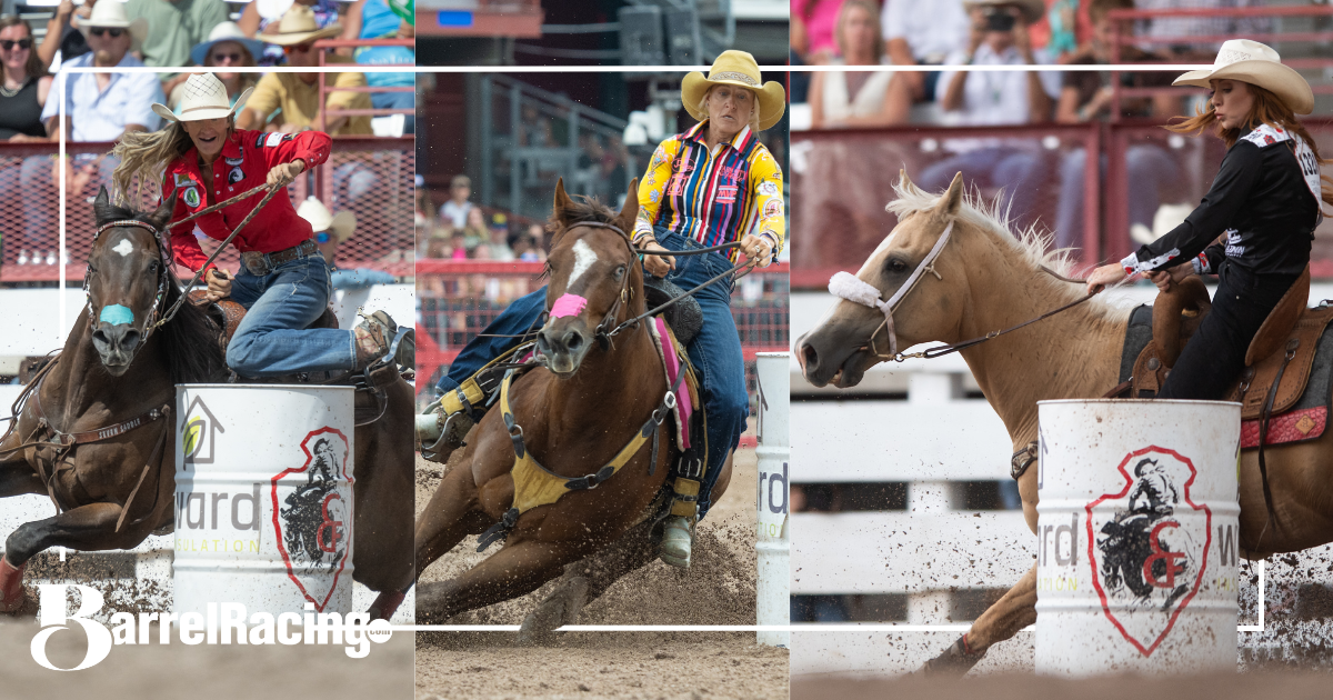 Horses at Cheyenne Frontier Days