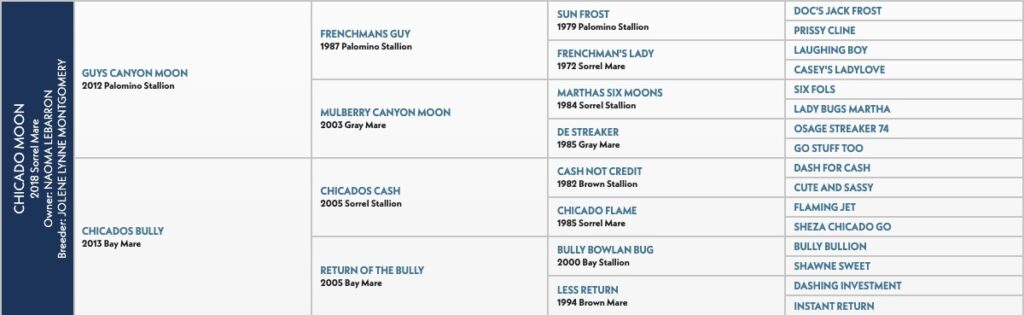 Chicado Moon pedigree