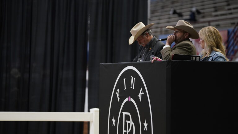 Auctioneers at the Pink Buckle Sale