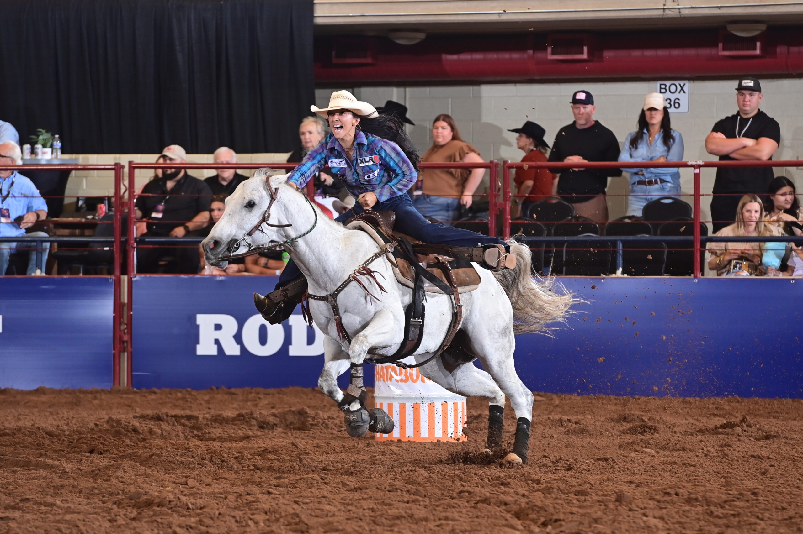 Alexandra Daigle hustles her horse through a barrel racing pattern