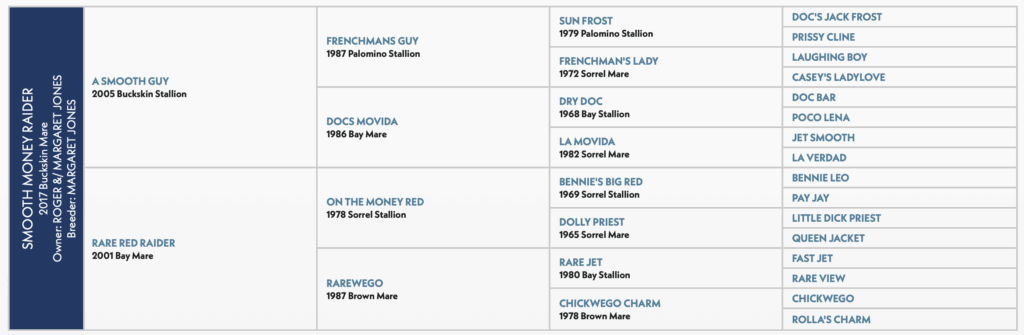 Smooth Money Raider horse pedigree 