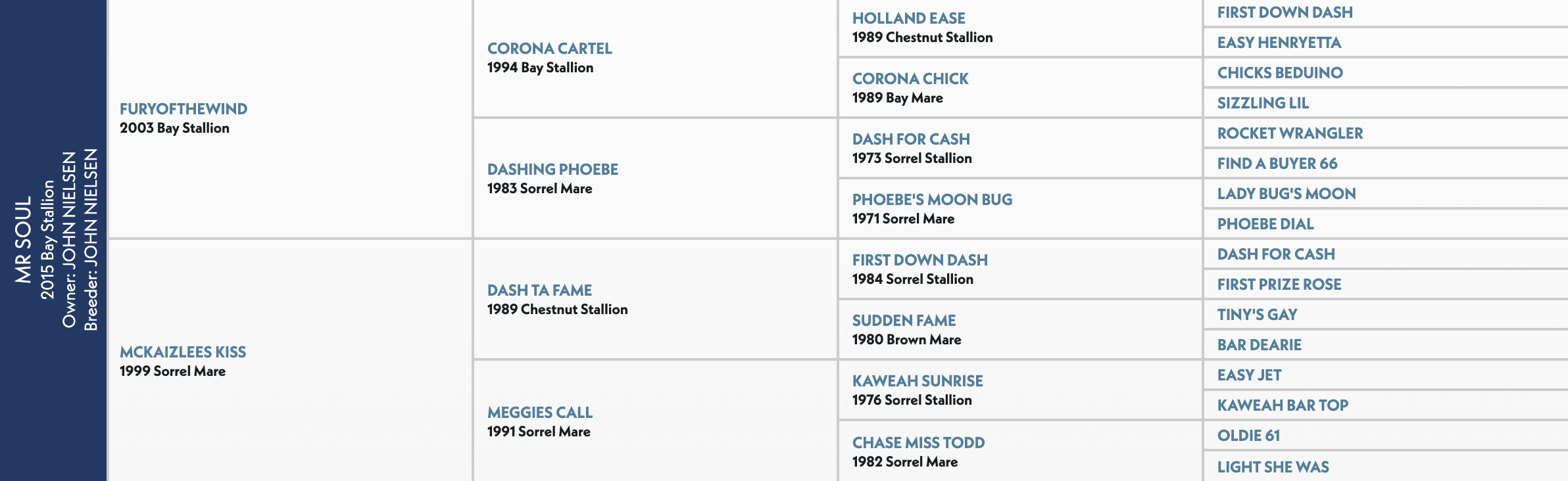 MR SOUL pedigree horse papers